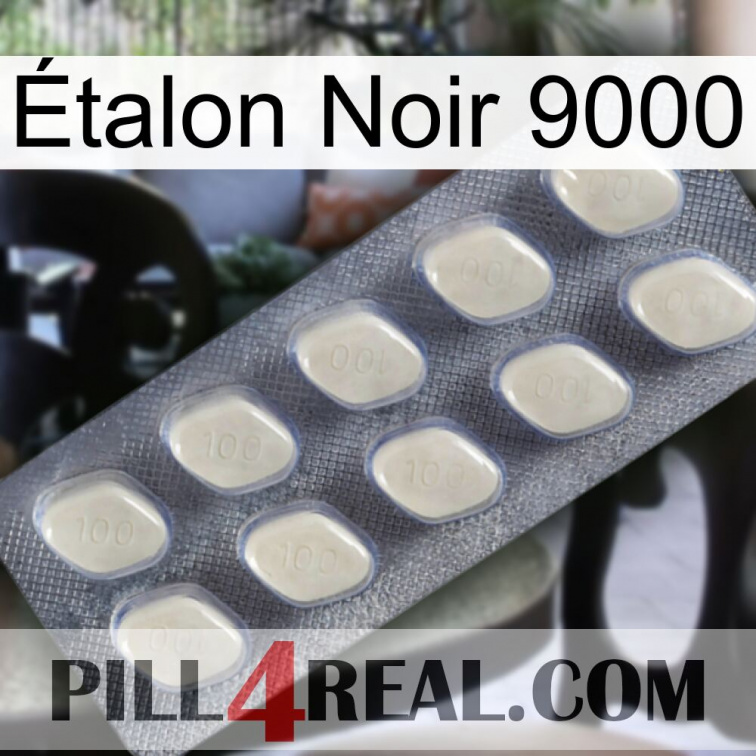 Étalon Noir 9000 08